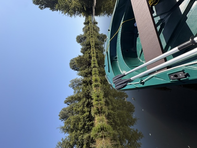 Barque électrique verte amarrée face au canal