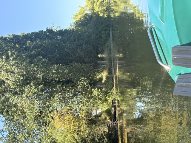 Rive ombragée du canal vue depuis la barque