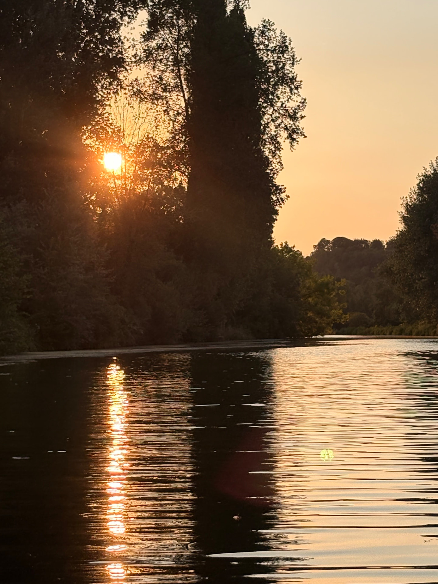 Soleil bas filtrant à travers les arbres sur la Somme